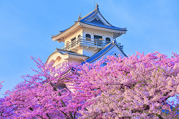 過去の記事はこちら