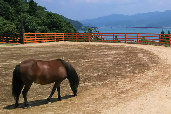 過去の記事はこちら